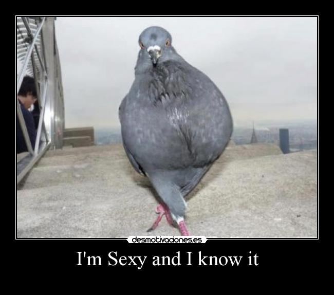 Im Sexy and I know it - 