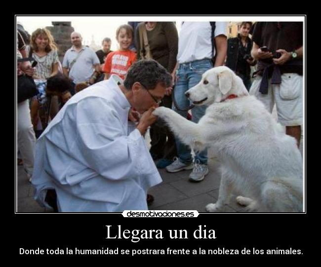 Llegara un dia - Donde toda la humanidad se postrara frente a la nobleza de los animales.