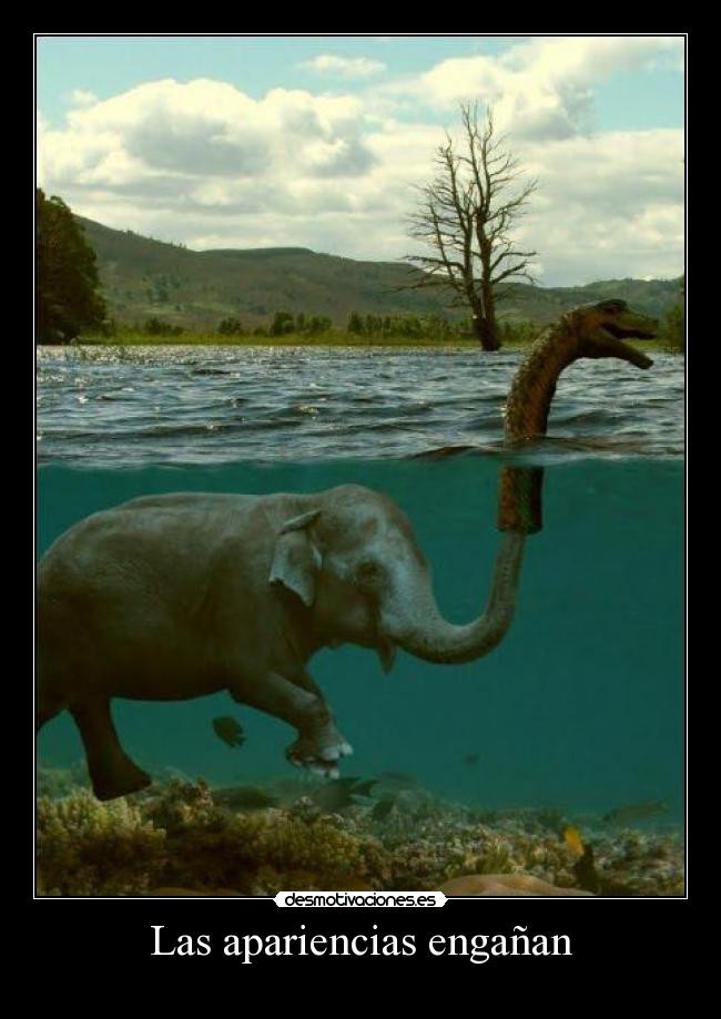 Las apariencias engañan -