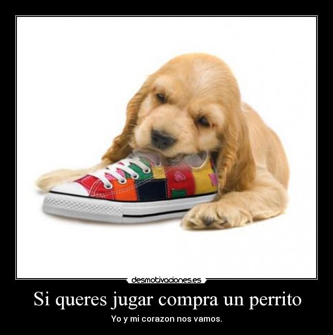 Si queres jugar compra un perrito -