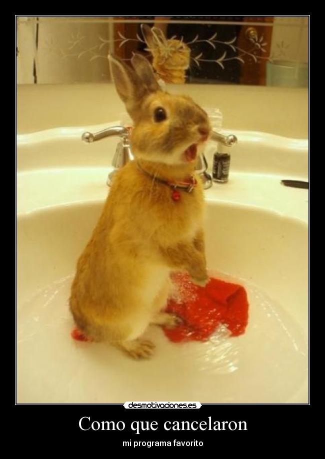 Como que cancelaron - mi programa favorito