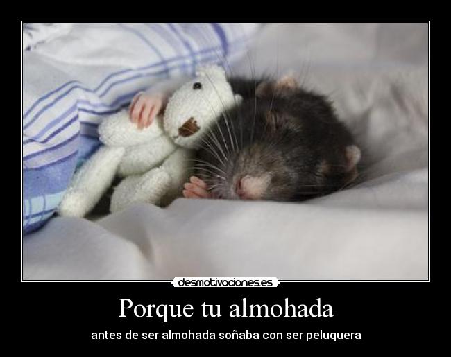 Porque tu almohada -