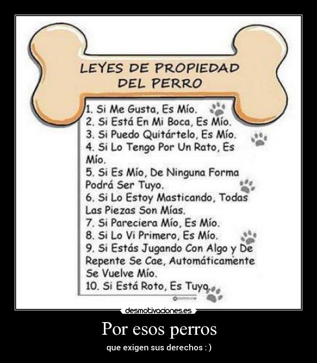 Por esos perros -