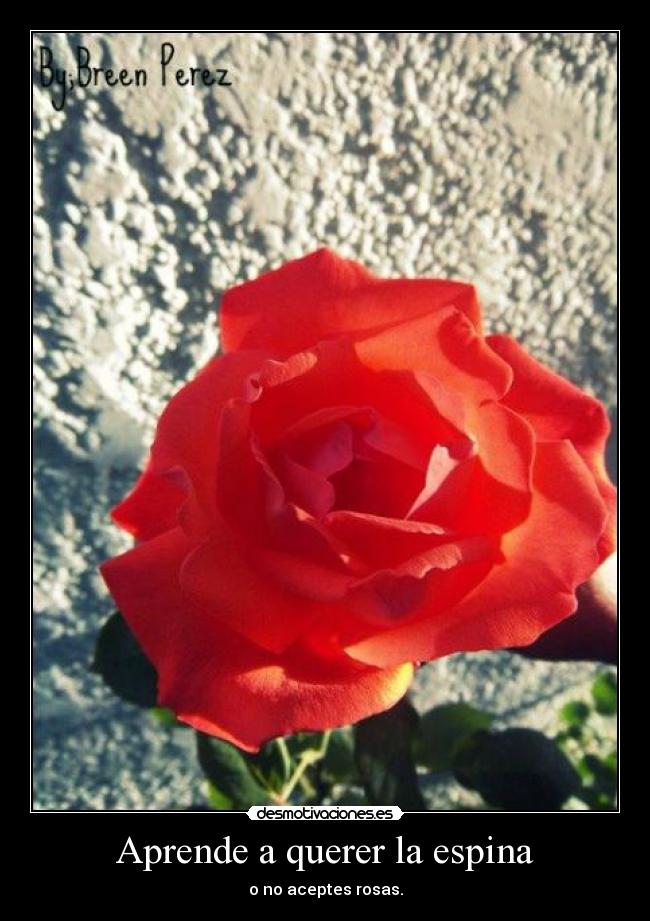 carteles 15125555 desmotivaciones