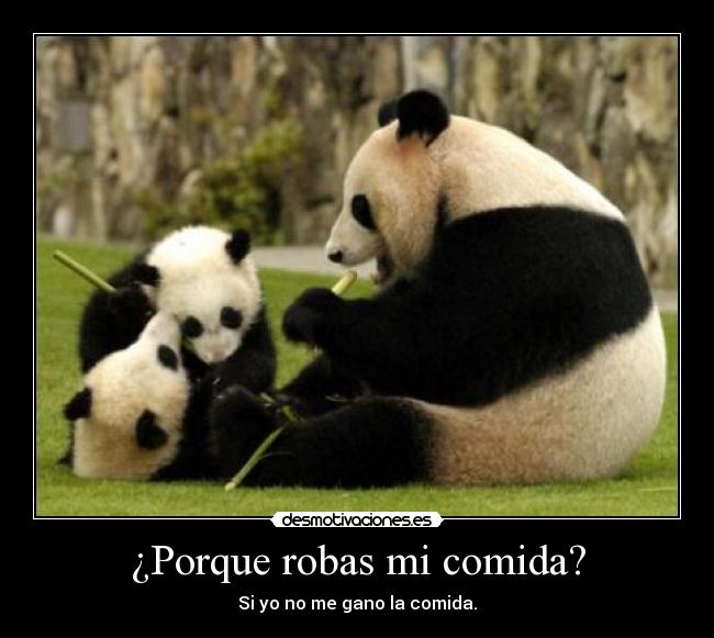 ¿Porque robas mi comida? - Si yo no me gano la comida.