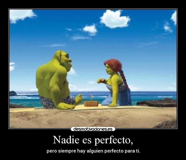 carteles nadie perfecto pero siempre hay alguien perfecto para desmotivaciones