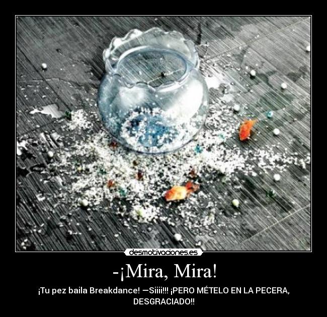 -¡Mira, Mira! - ¡Tu pez baila Breakdance! —Siiii!!! ¡PERO MÉTELO EN LA PECERA,
DESGRACIADO!!