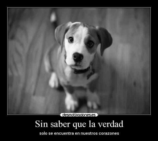 Sin saber que la verdad -
