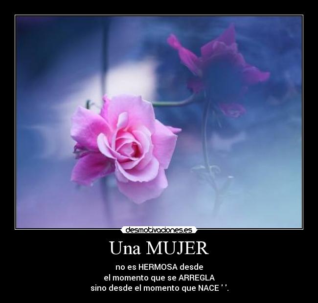 carteles mujer akrees desmotivaciones