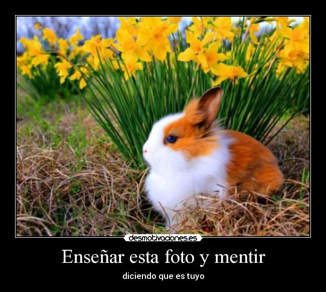 Enseñar esta foto y mentir - diciendo que es tuyo