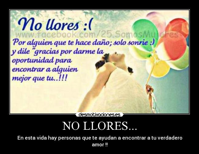 NO LLORES... - 