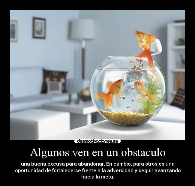 Algunos ven en un obstaculo - una buena excusa para abandonar. En cambio, para otros es una
oportunidad de fortalecerse frente a la adversidad y seguir avanzando
hacia la meta.