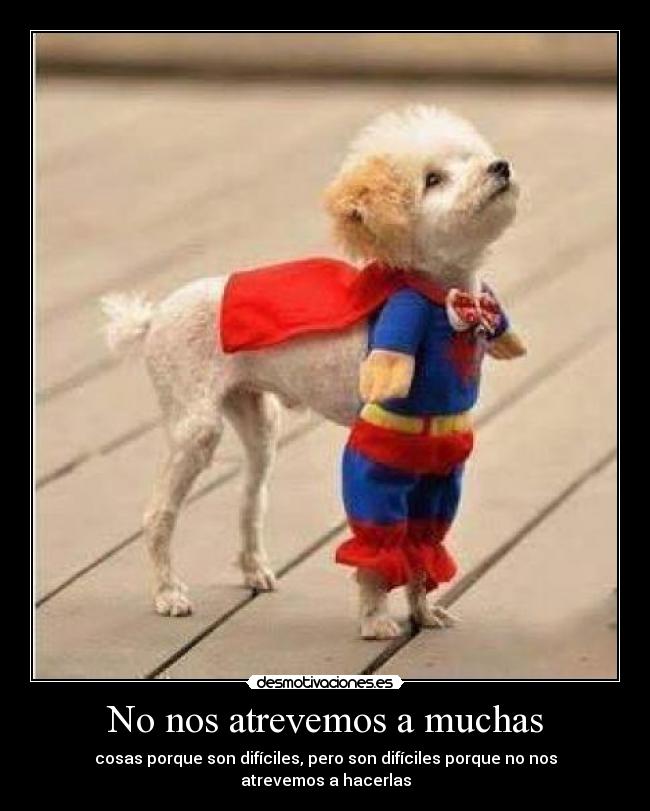 No nos atrevemos a muchas - 