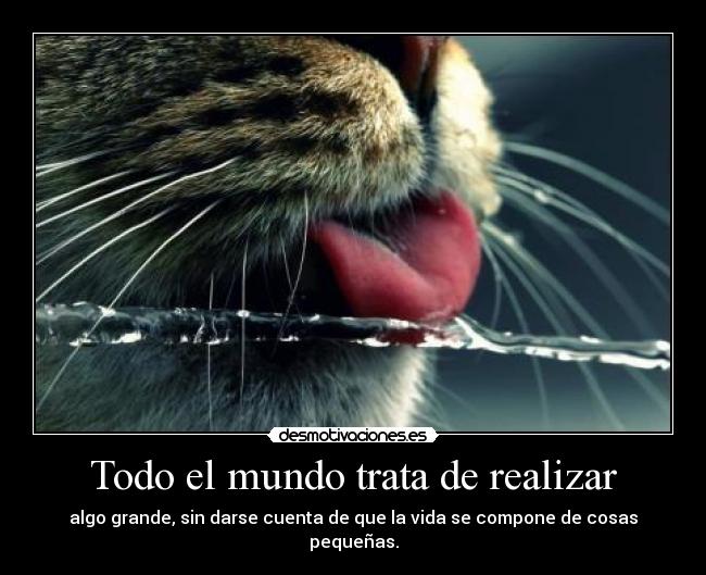Todo el mundo trata de realizar - algo grande, sin darse cuenta de que la vida se compone de cosas pequeñas.