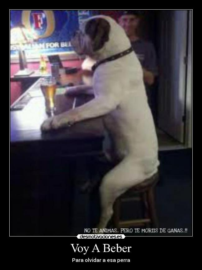 Voy A Beber -