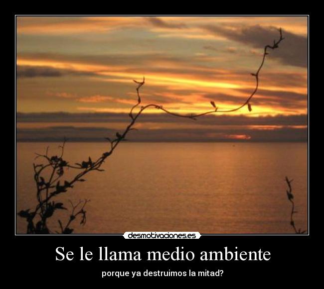 Se le llama medio ambiente - porque ya destruimos la mitad?
