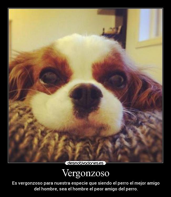 Vergonzoso -