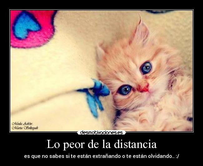 Lo peor de la distancia - 