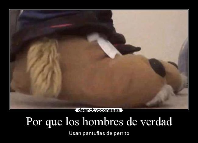 Por que los hombres de verdad - Usan pantuflas de perrito