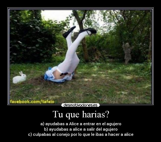 Tu que harias? - a) ayudabas a Alice a entrar en el agujero
b) ayudabas a alice a salir del agujero
c) culpabas al conejo por lo que le ibas a hacer a alice