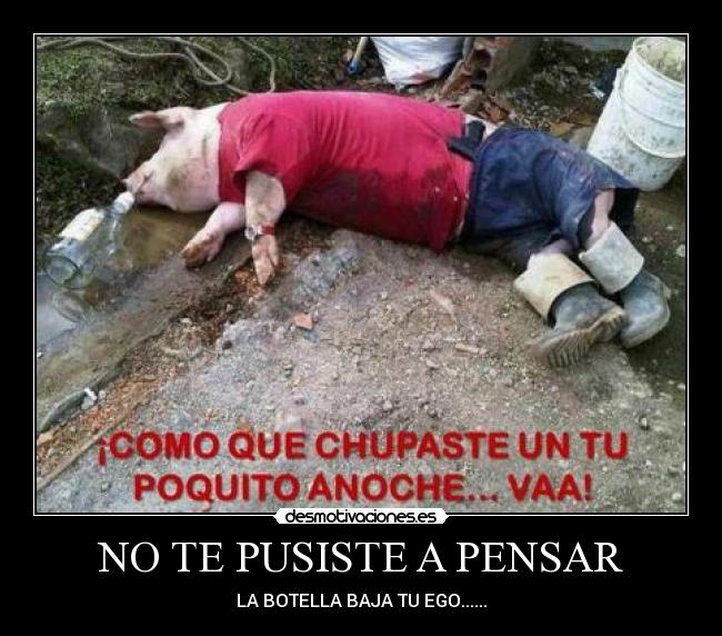 carteles mynor desmotivaciones