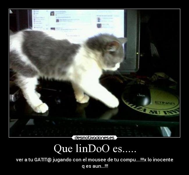 carteles eloisa llanos melani llanos andreina martinez desmotivaciones