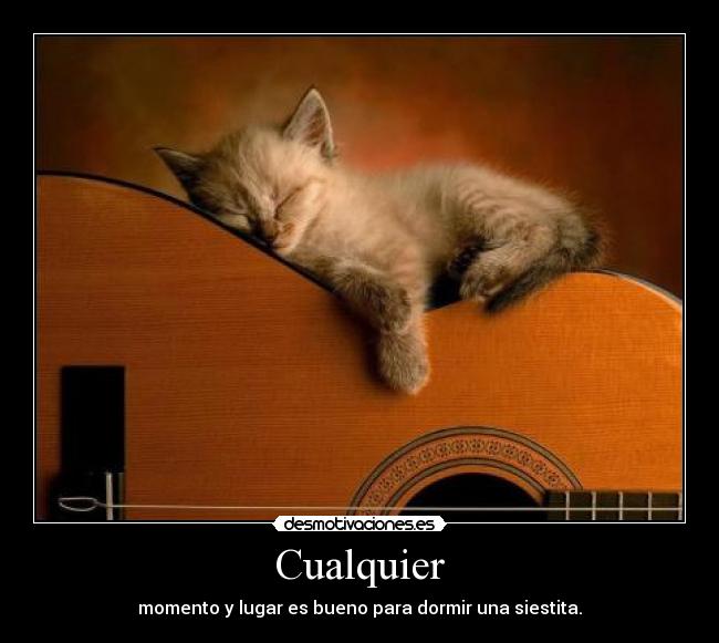 Cualquier - momento y lugar es bueno para dormir una siestita.