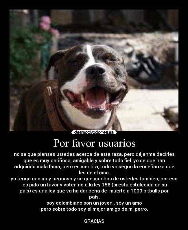 Por favor usuarios - no se que pienses ustedes acerca de esta raza, pero déjenme decirles
que es muy cariñosa, amigable y sobre todo fiel. yo se que han
adquirido mala fama, pero es mentira, todo va segun la enseñanza que
les de el amo.
yo tengo uno muy hermoso y se que muchos de ustedes tambien, por eso
les pido un favor y voten no a la ley 158 (si esta estalecida en su
país) es una ley que va ha dar pena de  muerte a 1000 pitbulls por
país.
soy colombiano,son un joven , soy un amo
pero sobre todo soy el mejor amigo de mi perro.

GRACIAS