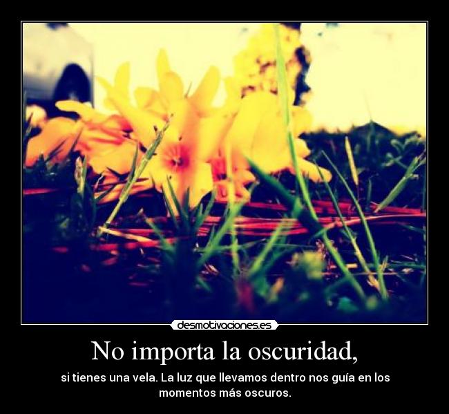 No importa la oscuridad, - 