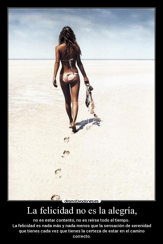 La felicidad no es la alegría, - no es estar contento, no es reírse todo el tiempo. 
La felicidad es nada más y nada menos que la sensación de serenidad
que tienes cada vez que tienes la certeza de estar en el camino
correcto.