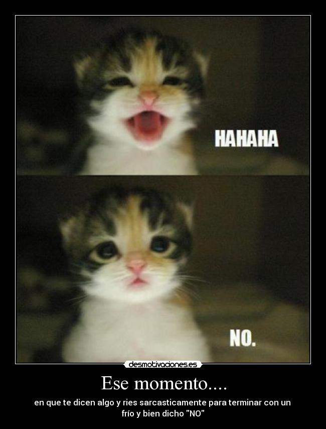 Ese momento.... - en que te dicen algo y ries sarcasticamente para terminar con un
frío y bien dicho NO