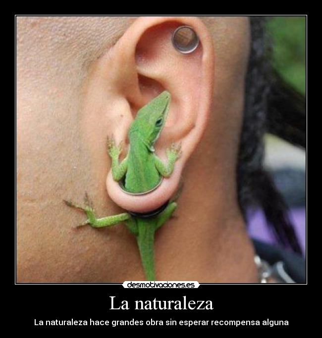 La naturaleza - La naturaleza hace grandes obra sin esperar recompensa alguna