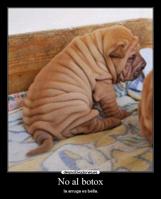 No al botox -