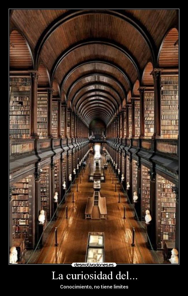 La curiosidad del... - 