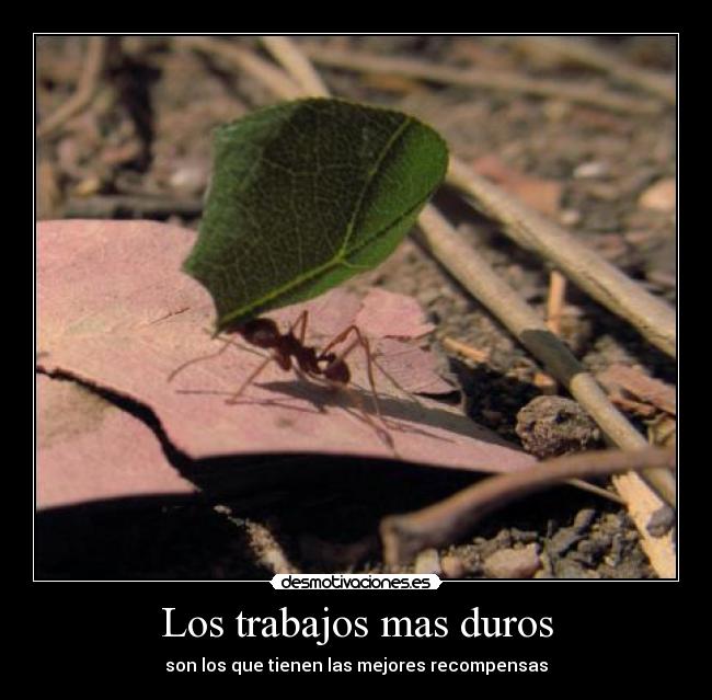 carteles foto mara chiva desmotivaciones