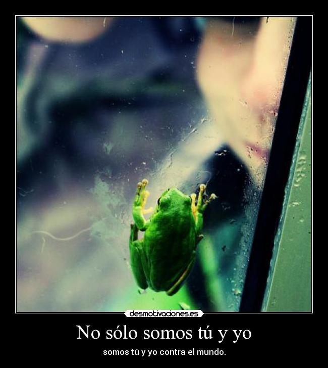 No sólo somos tú y yo - 