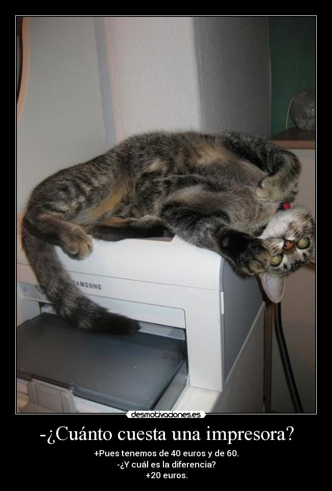 -¿Cuánto cuesta una impresora? - +Pues tenemos de 40 euros y de 60.
-¿Y cuál es la diferencia?
+20 euros.