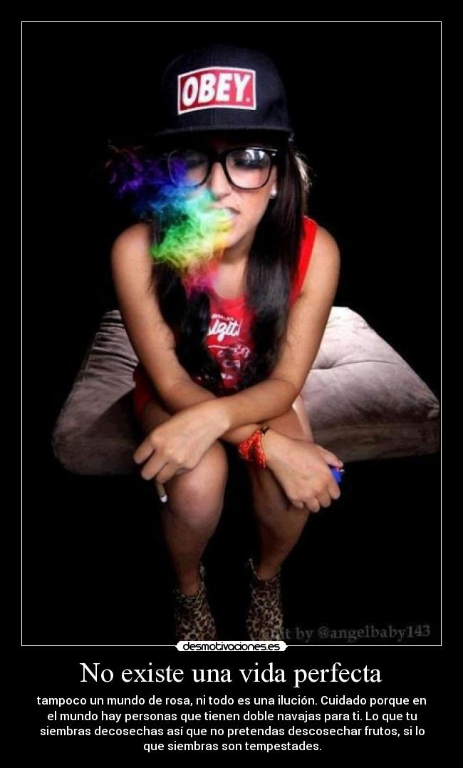 No existe una vida perfecta - 