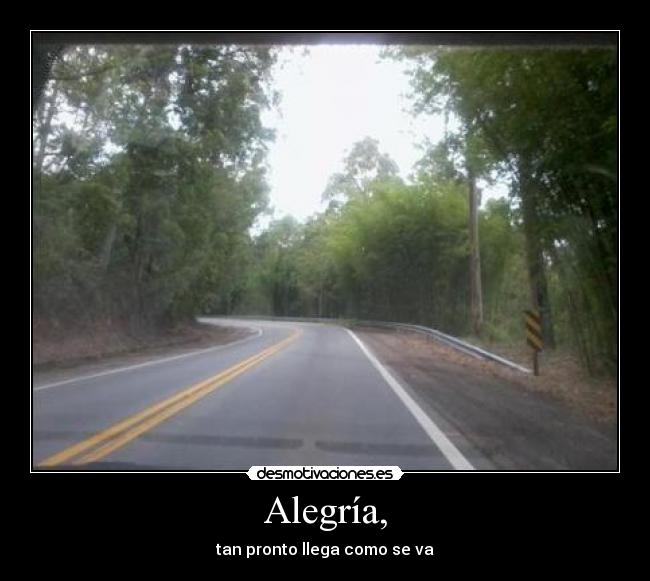 Alegría, - tan pronto llega como se va