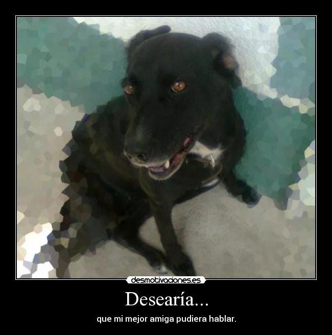 Desearía... - que mi mejor amiga pudiera hablar.