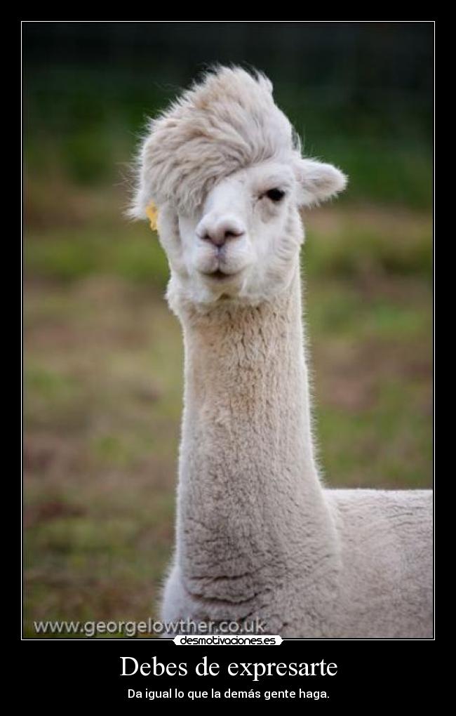 Debes de expresarte - 