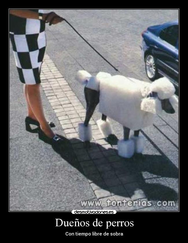 Dueños de perros - 