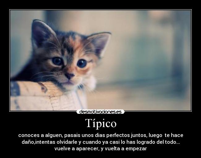 Típico - conoces a alguen, pasais unos dias perfectos juntos, luego  te hace
daño,intentas olvidarle y cuando ya casi lo has logrado del todo...
vuelve a aparecer, y vuelta a empezar