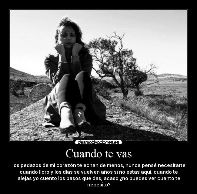 Cuando te vas - 