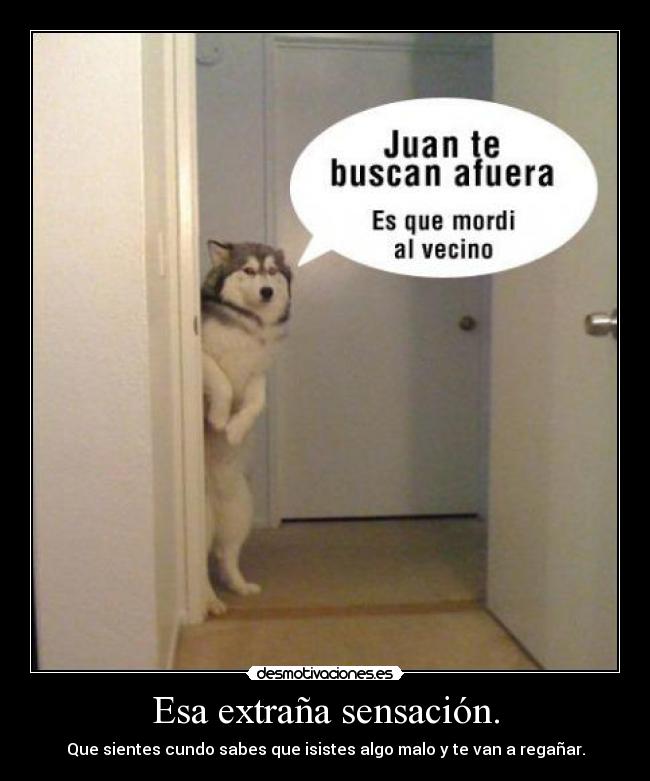 carteles regano desmotivaciones