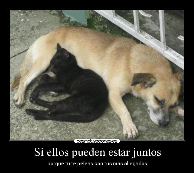 Si ellos pueden estar juntos - porque tu te peleas con tus mas allegados