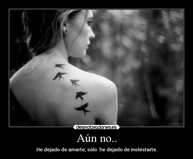 Aún no.. - He dejado de amarte, sólo he dejado de molestarte.
