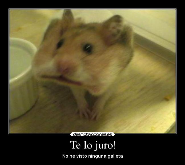 Te lo juro! -