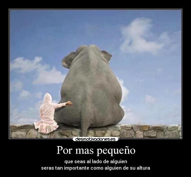 Por mas pequeño - que seas al lado de alguien
seras tan importante como alguien de su altura