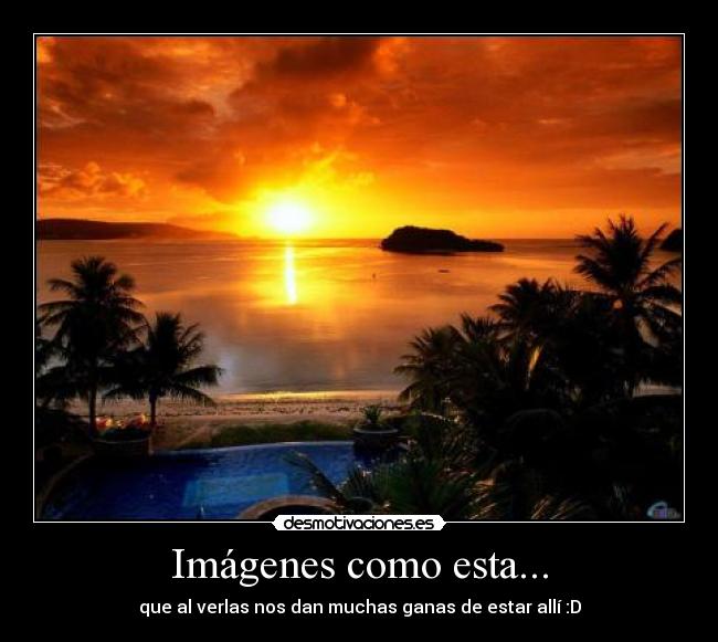 carteles senor las desmotivaciones desmotivaciones